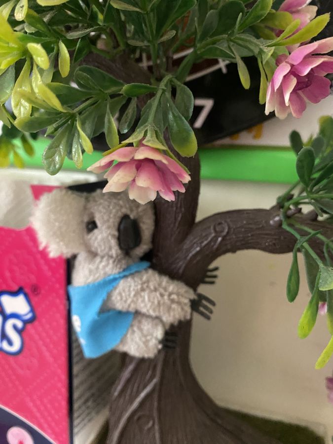 Toy koala hugging a bonsai tree